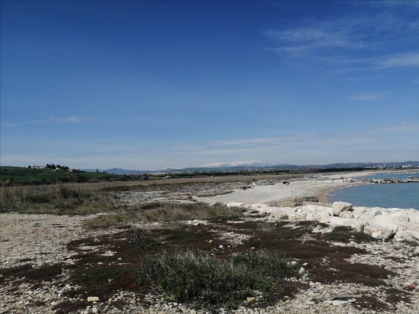 Progetto South Beach: "La più grande cementificazione della costa Adriatica dagli anni '70"