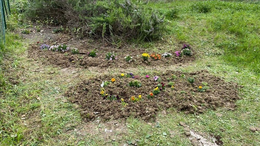 Nasce un piccolo giardino fiorito nella Scuola Primaria di Vasto