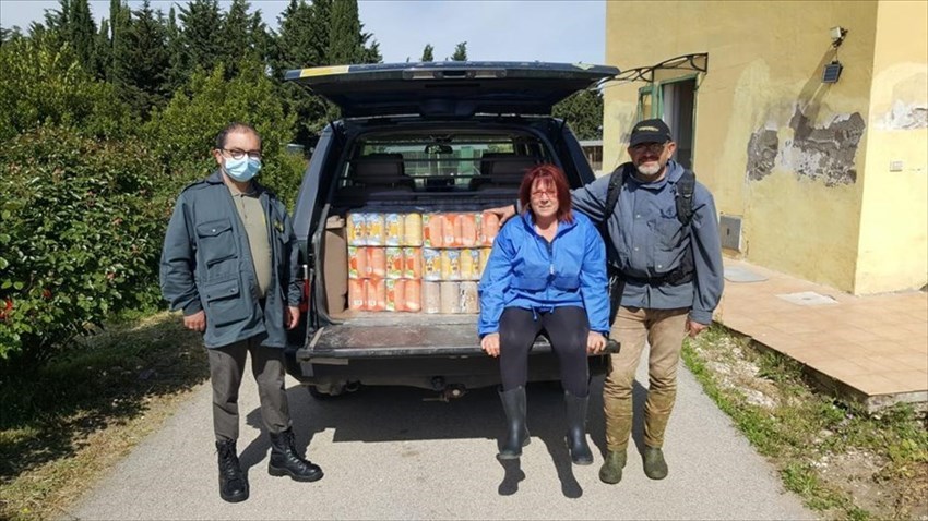 Residenti di Colle Macchiuzzo donano 250 euro di scatolette per le maremmane Bianca e Bella