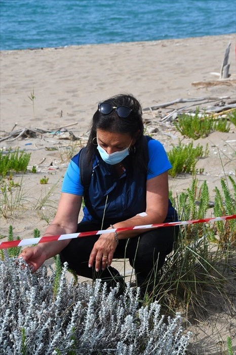 Osservazione naturalistica e scientifica sulla costa molisana: il bioblitz