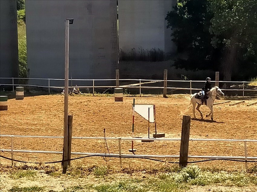Cavalli che passione! Torna la Gimkana Western a Termoli