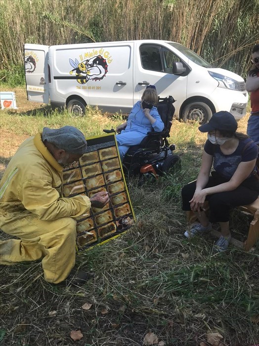 Laboratorio di apicoltura a San Martino in Pensilis