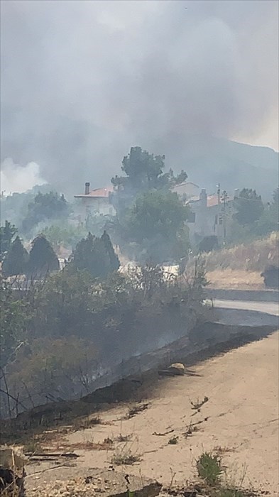 Ampio incendio tra Carpineto e Casalanguida, sul posto anche un elicottero
