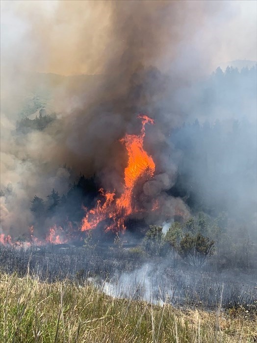 Ampio incendio tra Carpineto e Casalanguida, sul posto anche un elicottero