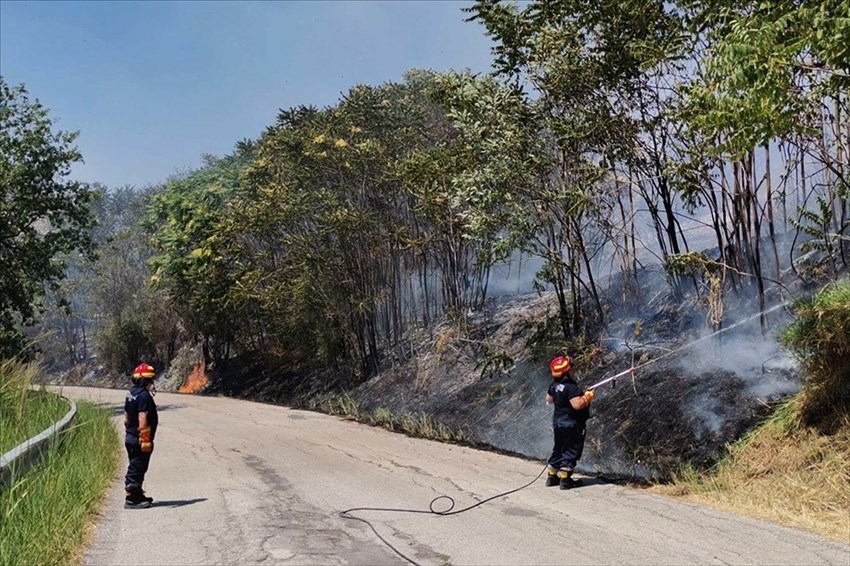 Incendio in località Fornace a Casalbordino, sul posto Vigili del fuoco e Protezione civile