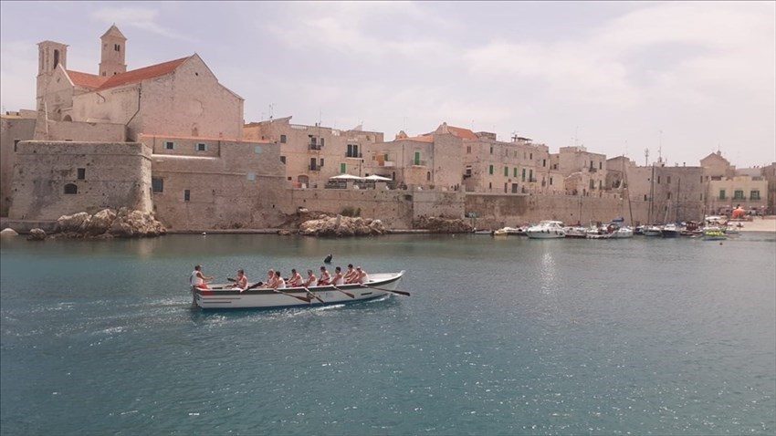 "La Ciurma" e "La Ciurma Rosa" prima e seconda a Giovinazzo