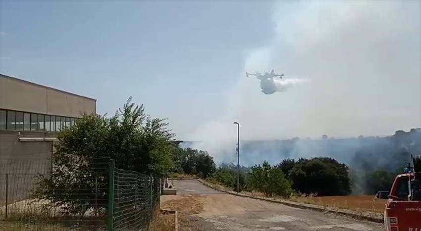 Incendio boschivo minaccia la zona artigianale di San Giacomo, Canadair in volo