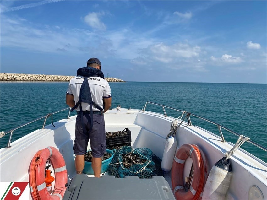 Sequestrati più di 80 kg di molluschi, sanzionati due pescatori sportivi