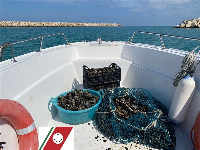 Sequestrati più di 80 kg di molluschi, sanzionati due pescatori sportivi