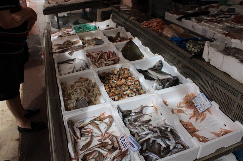 Pesce fresco sui banchi dei mercati a Termoli