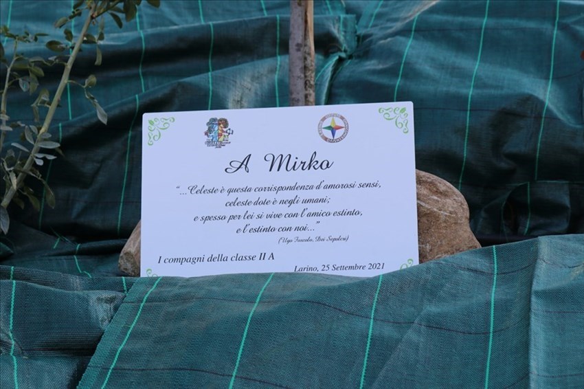 «Piantiamo un albero per Mirko Biello», docenti e compagni di scuola ricordano lo studente