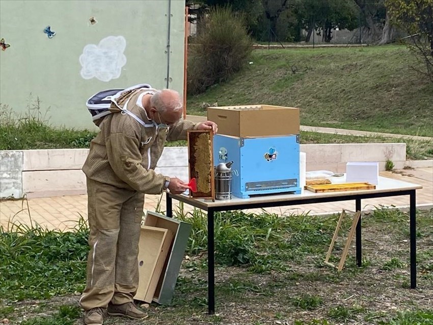I bimbi della Scuola dell’Infanzia “G. Spataro” scoprono l’apicoltura con il progetto Biodiversità