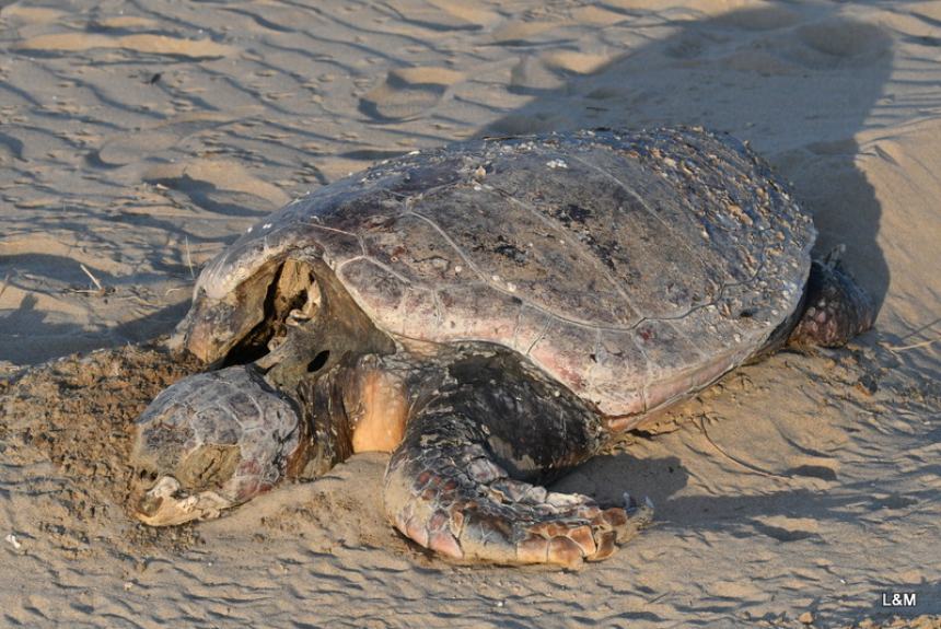 Clima, natura e biodiversità: lezioni di vita