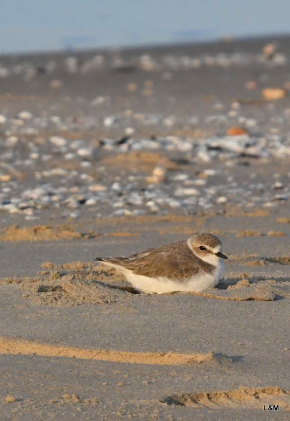 Clima, natura e biodiversità: lezioni di vita