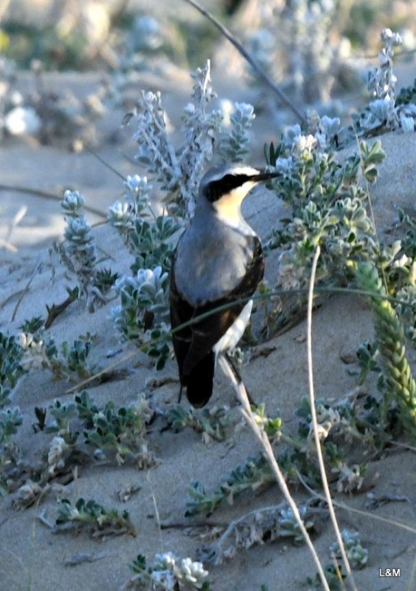 Clima, natura e biodiversità: lezioni di vita