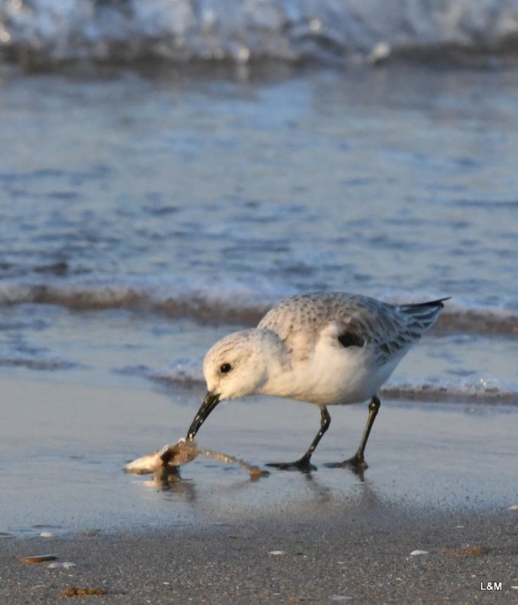 Clima, natura e biodiversità: lezioni di vita