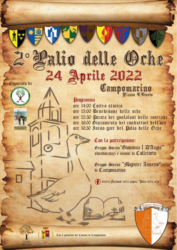 Palio delle Oche