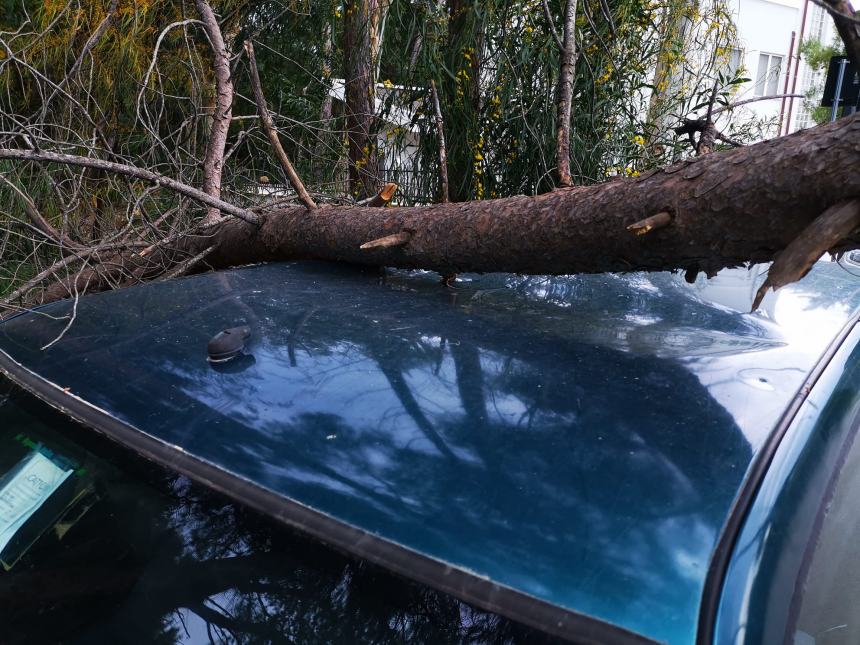 Forti raffiche di vento spazzano la costa, albero cade su auto in sosta al Lido