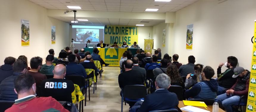 Coldiretti giovani impresa: Innovation tour fa tappa in Molise