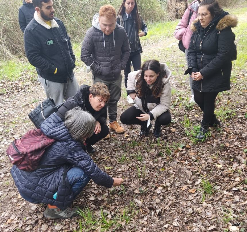 Bosco Fantine e spiaggia di Campomarino, l'attivismo dei volontari di Ambiente Basso Molise