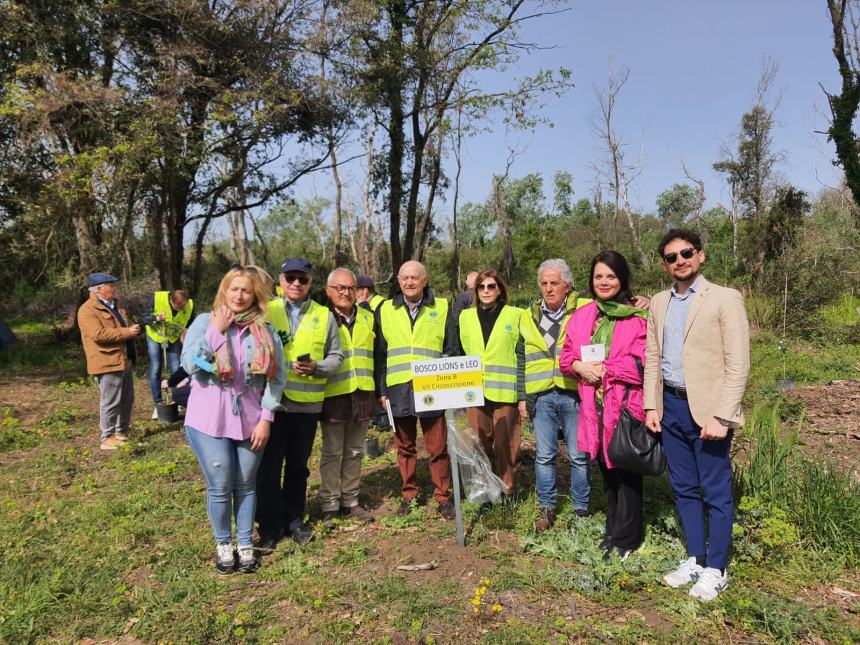 Bosco Lions e Leo alle Fantine