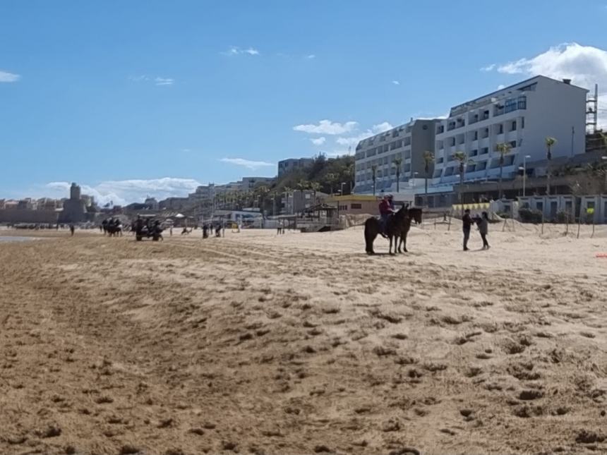 Una magnifica cavalcata di libertà sulla spiaggia