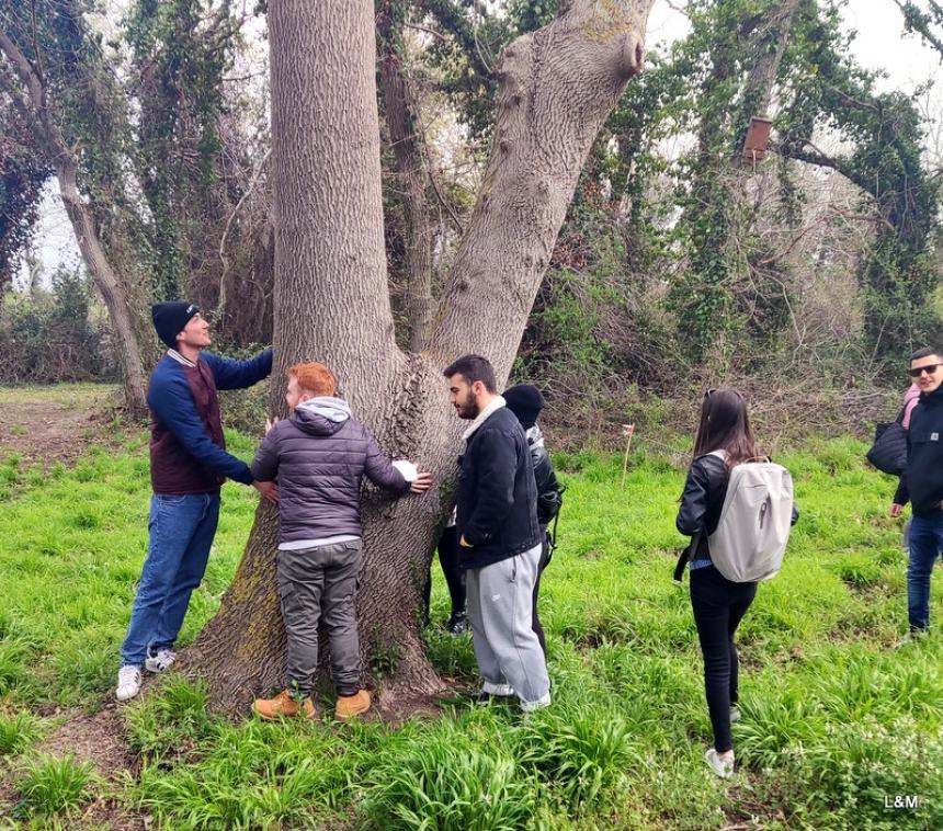 Bosco Fantine e spiaggia di Campomarino, l'attivismo dei volontari di Ambiente Basso Molise