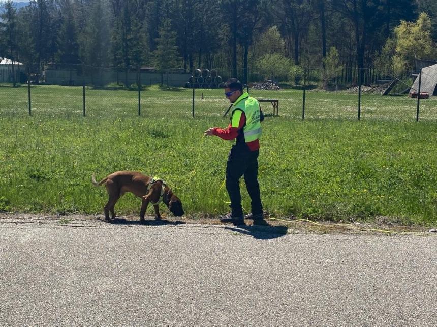 L'emergenza sanitaria ad alto rischio, come soccorrere chi resta sotto le macerie