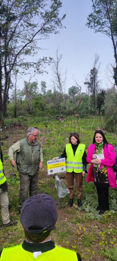 Bosco Lions e Leo alle Fantine