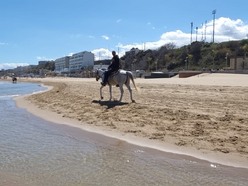 Una magnifica cavalcata di libertà sulla spiaggia