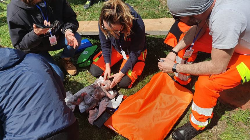 L'emergenza sanitaria ad alto rischio, come soccorrere chi resta sotto le macerie