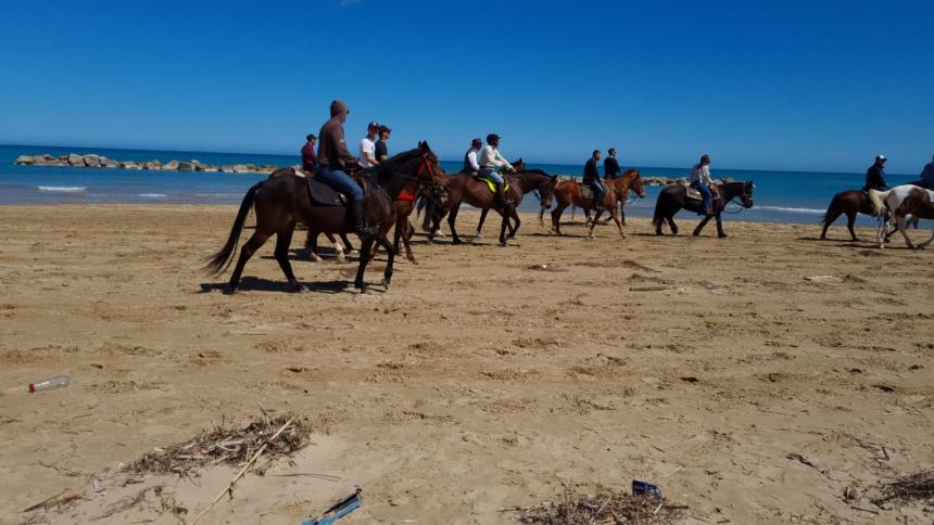 Una magnifica cavalcata di libertà sulla spiaggia