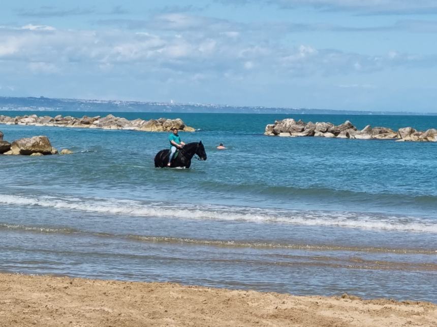 Una magnifica cavalcata di libertà sulla spiaggia