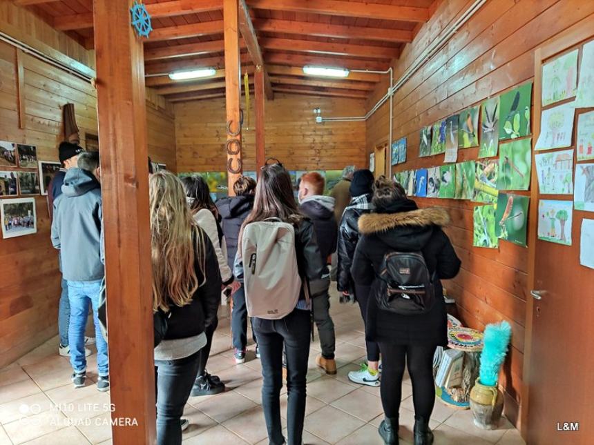 Bosco Fantine e spiaggia di Campomarino, l'attivismo dei volontari di Ambiente Basso Molise