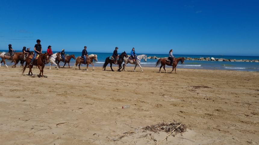 Una magnifica cavalcata di libertà sulla spiaggia