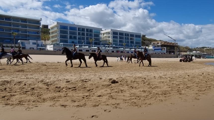 Una magnifica cavalcata di libertà sulla spiaggia