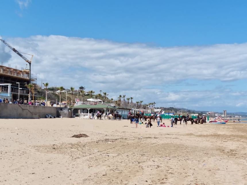 Una magnifica cavalcata di libertà sulla spiaggia