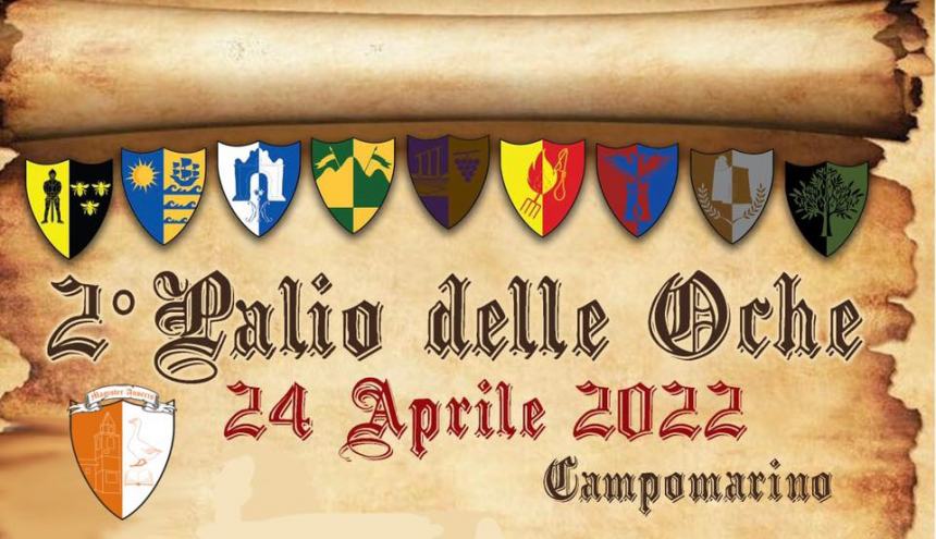 Palio delle Oche