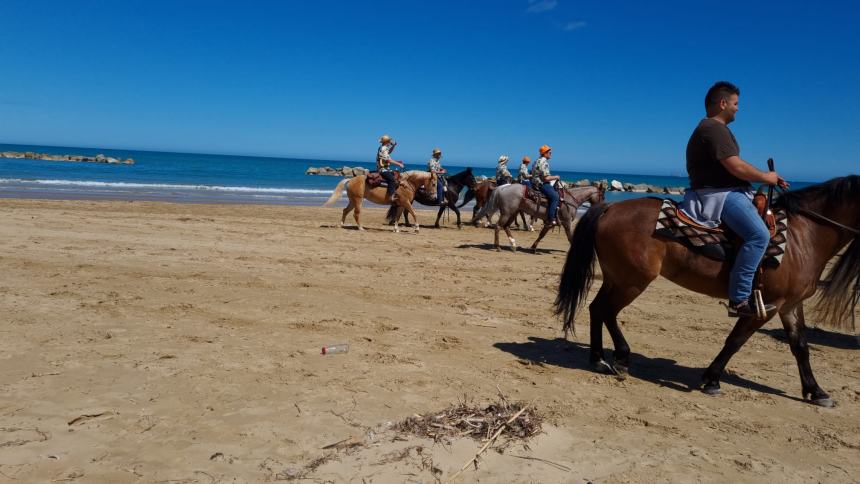 Una magnifica cavalcata di libertà sulla spiaggia