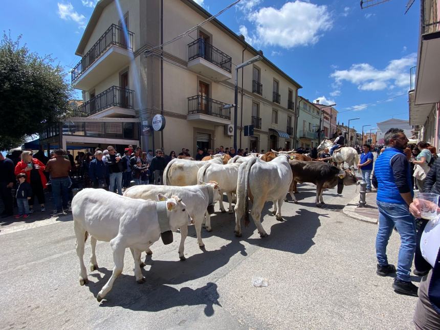 Ultimo sabato di aprile a Santa Croce di Magliano