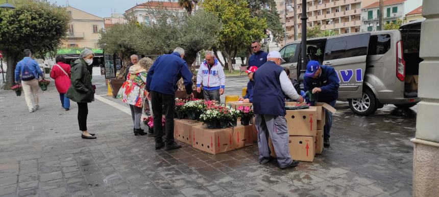 Il maltempo annaffia la voglia di azalee, 200 piante consegnate in poche ore