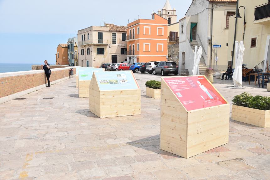 Promozione sostenibile e Bosco Fantine adottato, oltre la Carbon Footprint