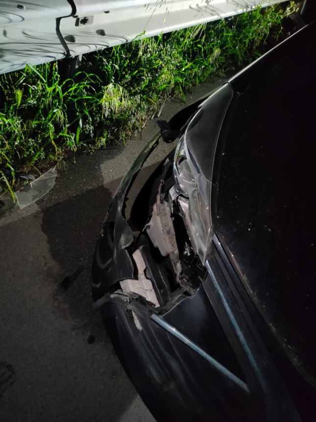 L'auto dopo lo scontro col cinghiale