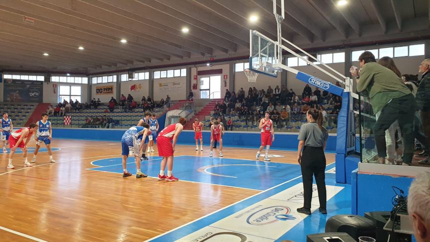 Molise Basket Young