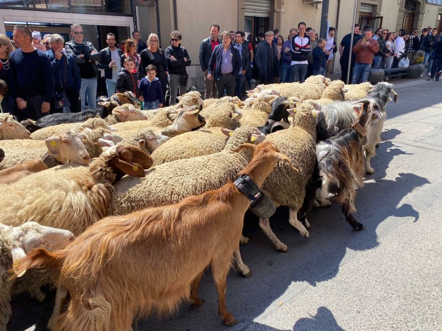 Ultimo sabato di aprile a Santa Croce di Magliano