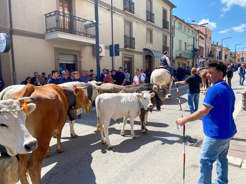 Ultimo sabato di aprile a Santa Croce di Magliano