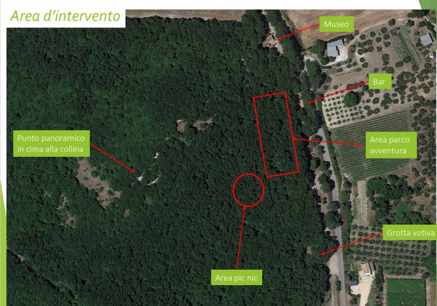 Il progetto di Parco avventura