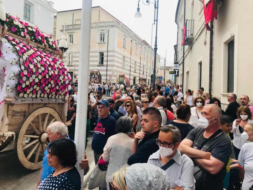 Festa di San Pardo a Larino