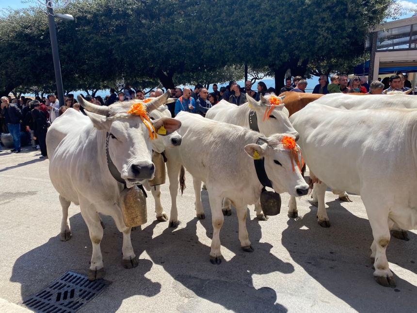 Ultimo sabato di aprile a Santa Croce di Magliano