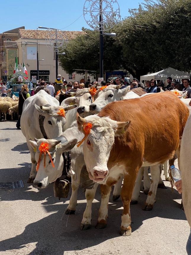 Ultimo sabato di aprile a Santa Croce di Magliano